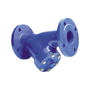 cast iron strainer