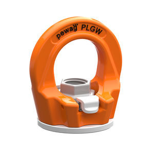 eye nut