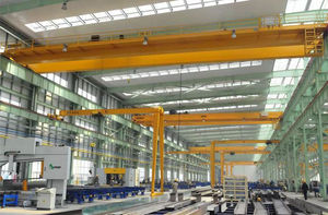double-girder bridge crane