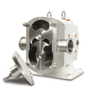 rotary lobe pump