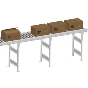 driven roller conveyor / for the food industry / for the pharmaceutical industry / for the recycling industry