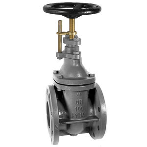 gate valve