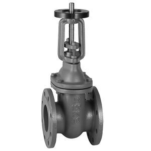gate valve 1