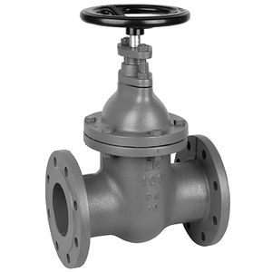 gate valve 1
