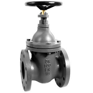 gate valve