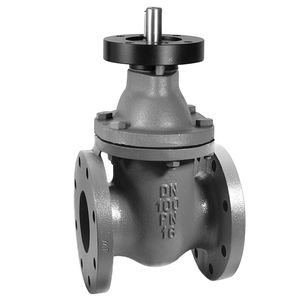 gate valve