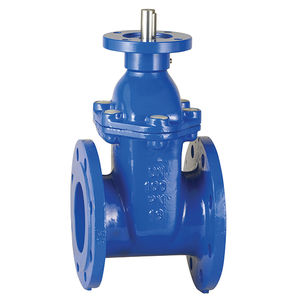gate valve 1