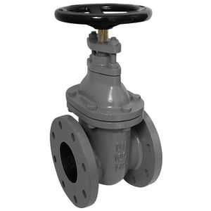 gate valve 1