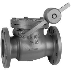 swing check valve 1