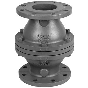 swing check valve