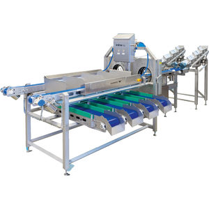 sorting machine for the food industry