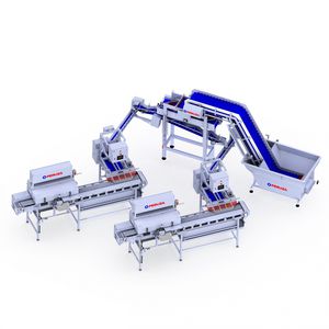 Belt feeder - All industrial manufacturers