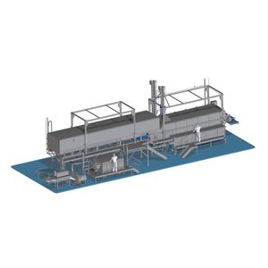 blancher for the food industry