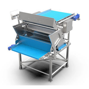 sorter for the food industry