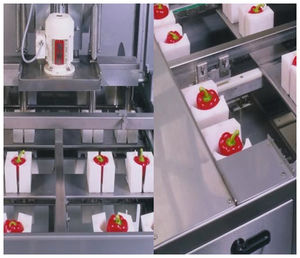 pepper coring machine