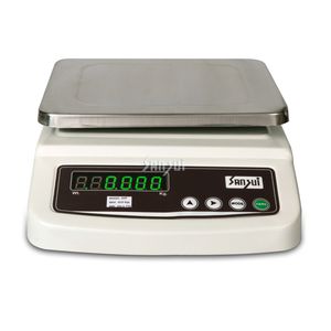 platform scale