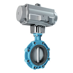 butterfly valve