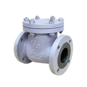 swing check valve