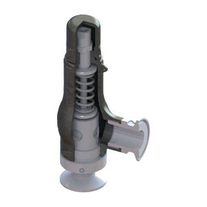 air safety relief valve
