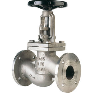 globe valve