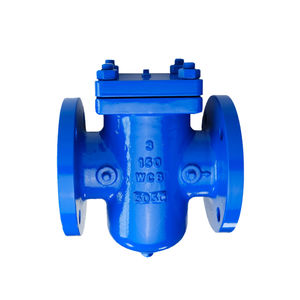 flange strainer