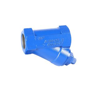 Y strainer