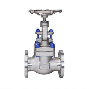 globe valve