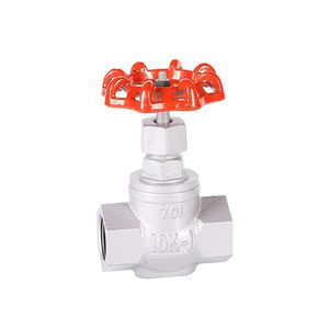 globe valve