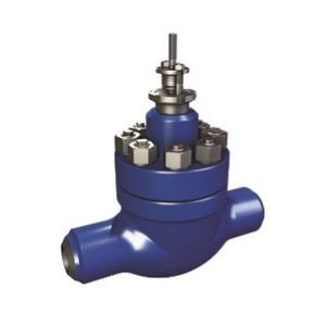 globe valve