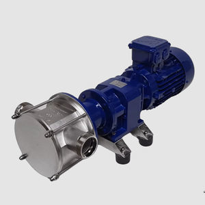 impeller pump 1