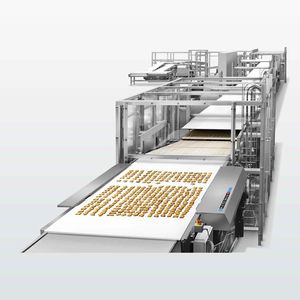 belt conveyor