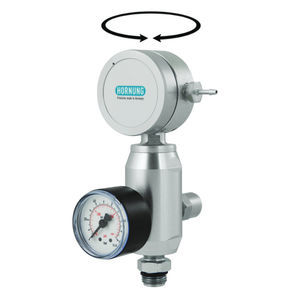 gas pressure regulator 1