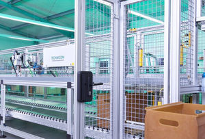 transport conveyor system