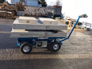 battery-powered cart