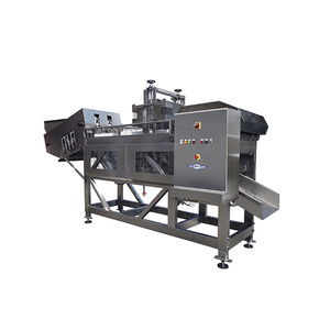 Pitting machine, Repitter - All industrial manufacturers