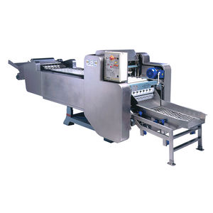 fruit pitting machine