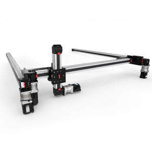 double linear gantry module