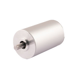 slotless motor 1