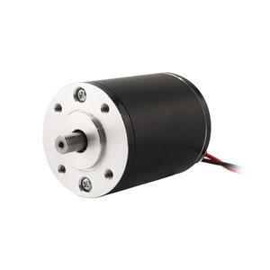 brushed motor 1