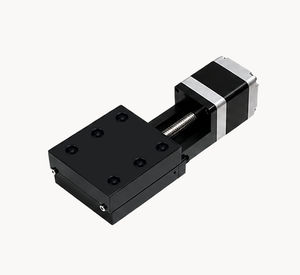 ball screw linear module