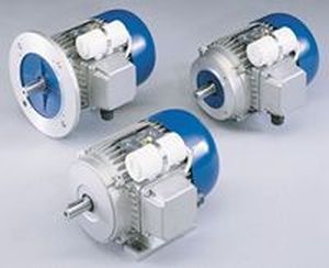 AC motor
