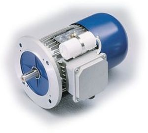 asynchronous brake motor