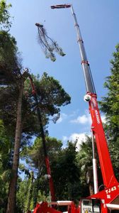 crawler spider crane / telescopic / for construction