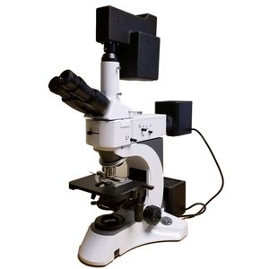 optical microscope