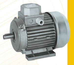 asynchronous motor 1