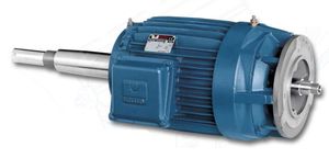 synchronous motor
