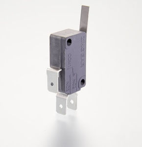 lever micro-switch
