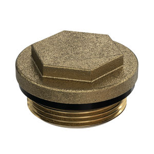 blanking plug