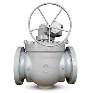 top-entry valve