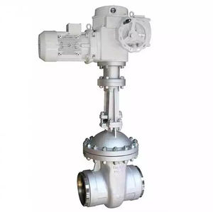 gate valve